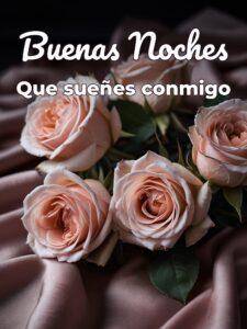 Imágenes con frases de buenas noches amor para Facebook