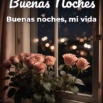 buenas noches buenas noches, mi vida