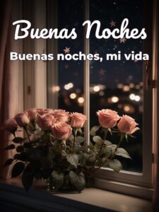 Imágenes con frases de buenas noches para mi amor