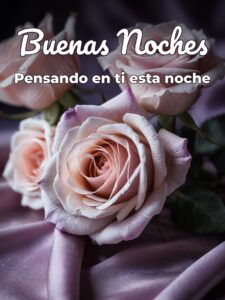 Imágenes con frases de buenas noches para mi amor para celular