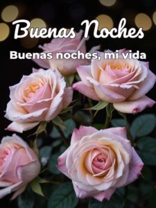 Imágenes con frases de buenas noches para mi amor para Facebook