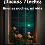 buenas noches buenas noches, mi vida