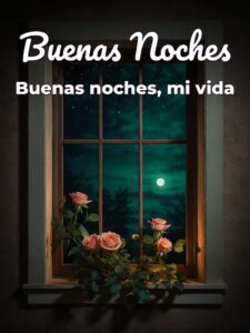 Imágenes con frases de buenas noches para mi amor para WhatsApp