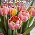 feliz domingo que dios bendiga tu domingo