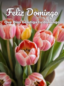 Imágenes con frases de domingo para celular