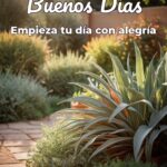 buenos días empieza tu día con alegría