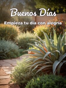 Imágenes con frases hermosas de buenos días para Facebook
