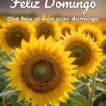 feliz domingo que hoy sea un gran domingo