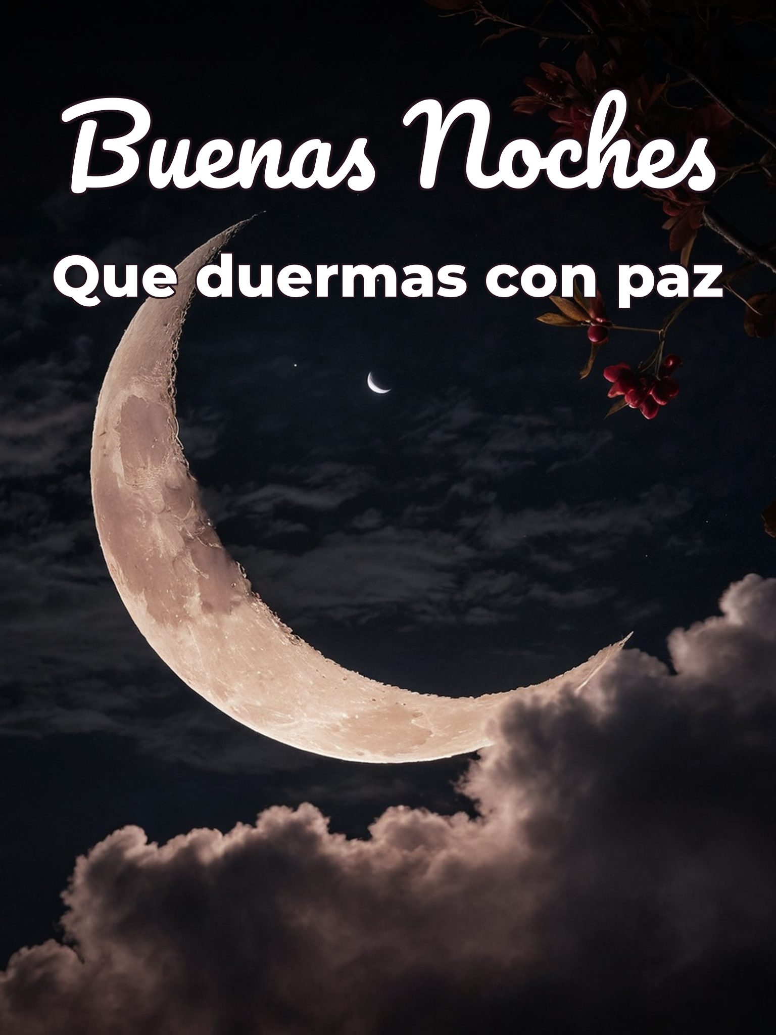 Imágenes con frases para las buenas noches para WhatsApp
