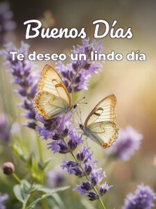 Imágenes con mensajes bonitos de buenos días para descargar