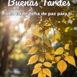 buenas tardes una tarde llena de paz para ti