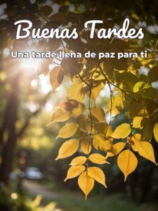 Imágenes cristianas de feliz tarde para WhatsApp celular