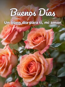 Imágenes d amor buenos días para celular