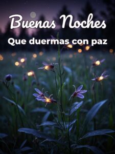 Imágenes d buenas noches amiga para celular