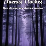 buenas noches que descanses, dulces sueños