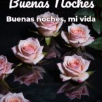 buenas noches buenas noches, mi vida