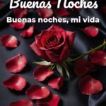 buenas noches buenas noches, mi vida