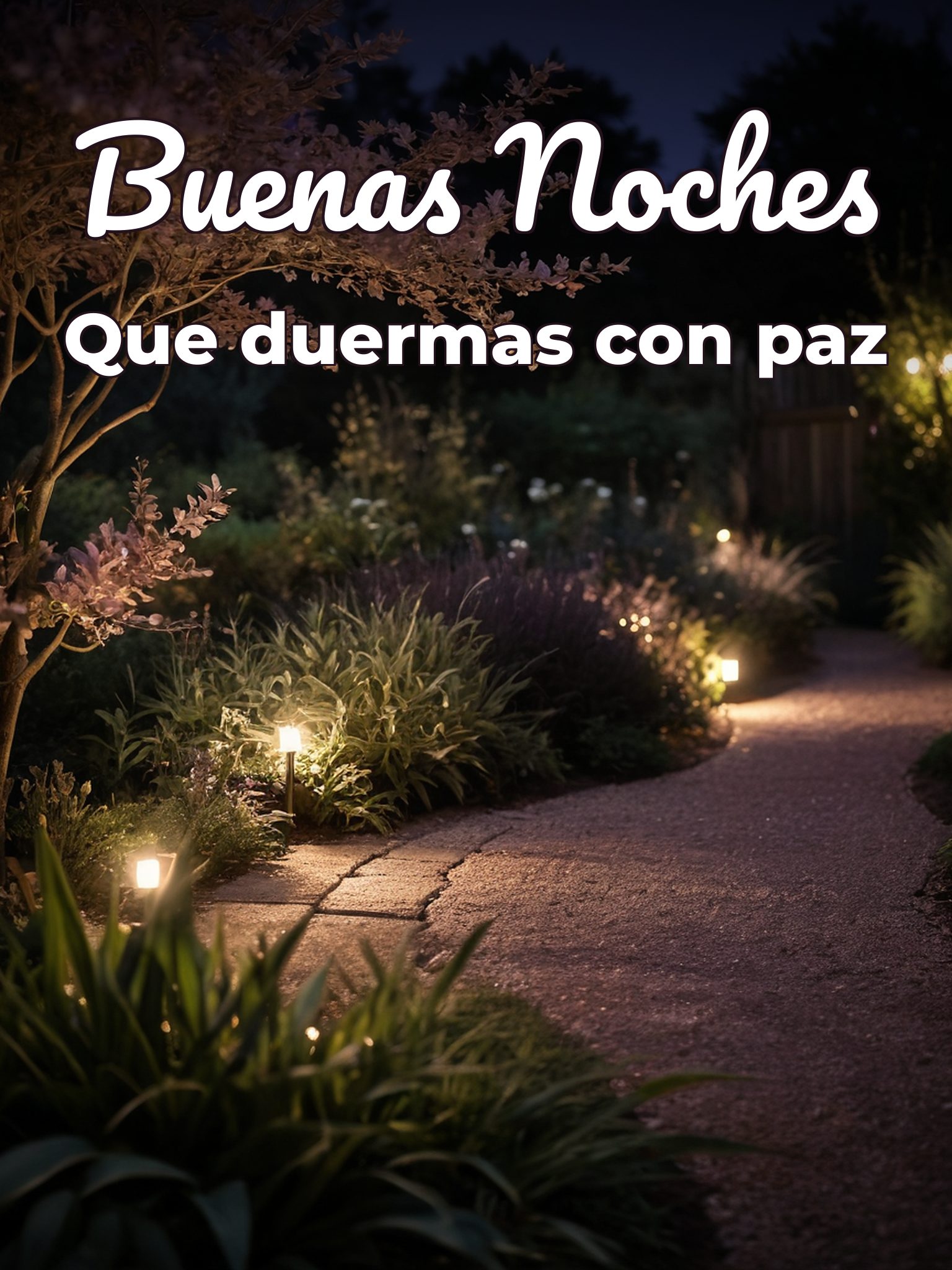 Imágenes d buenas noches gratis para Facebook