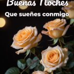 buenas noches que sueñes conmigo
