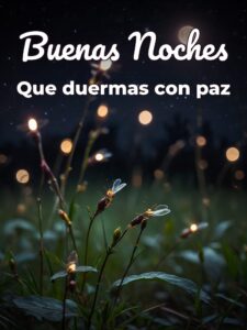 Imágenes d buenas noches para WhatsApp