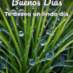 buenos días te deseo un lindo día