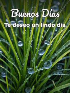 Imágenes d buenos días para descargar