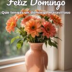 feliz domingo que tengas un domingo maravilloso