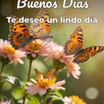 buenos días te deseo un lindo día