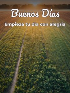 Imágenes d los buenos días para descargar