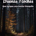 buenas noches que tengas una noche tranquila