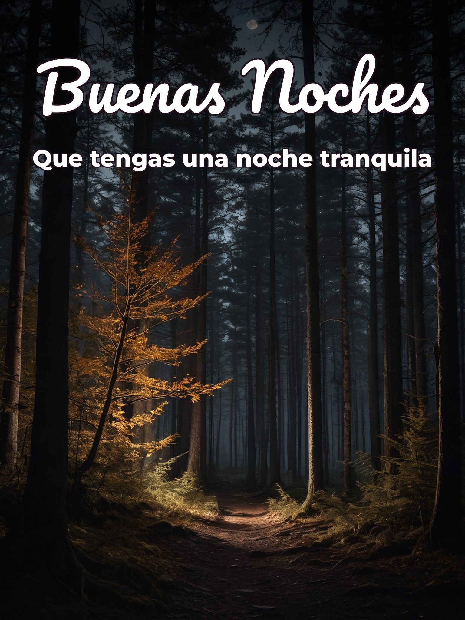 Imágenes de amistad de buenas noches para Facebook