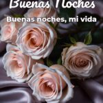 buenas noches buenas noches, mi vida