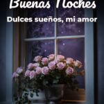 buenas noches dulces sueños, mi amor