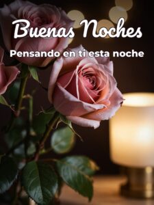 Imágenes de amor con mensajes de buenas noches para Facebook