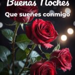 buenas noches que sueñes conmigo