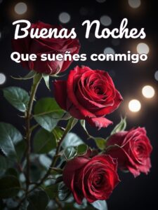 Imágenes de amor con mensajes de buenas noches para WhatsApp