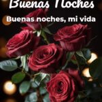 buenas noches buenas noches, mi vida