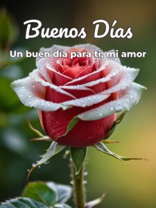 Imágenes de amor d buenos días para WhatsApp