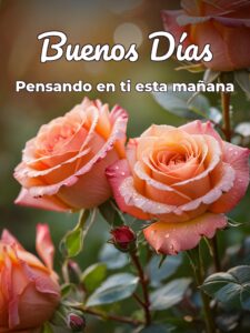 Imágenes de amor dando los buenos días para WhatsApp
