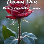 buenos días para ti, con todo mi amor