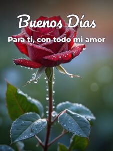 Imágenes de amor de los buenos días para Facebook
