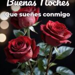 buenas noches que sueñes conmigo