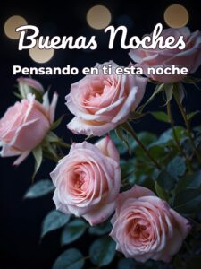 Imágenes de amor deseando buenas noches para WhatsApp