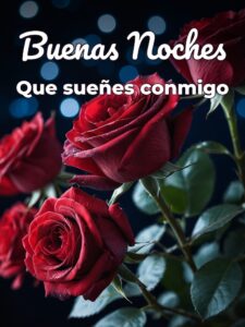 Imágenes de amor para dar las buenas noches para WhatsApp