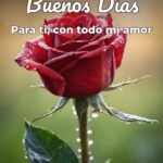 buenos días para ti, con todo mi amor