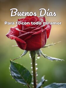 Imágenes de amor para dar los buenos días para descargar