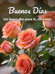 Imágenes de amor para desear buenos días para descargar