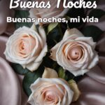 buenas noches buenas noches, mi vida