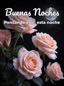 Imágenes de amor y de buenas noches para WhatsApp