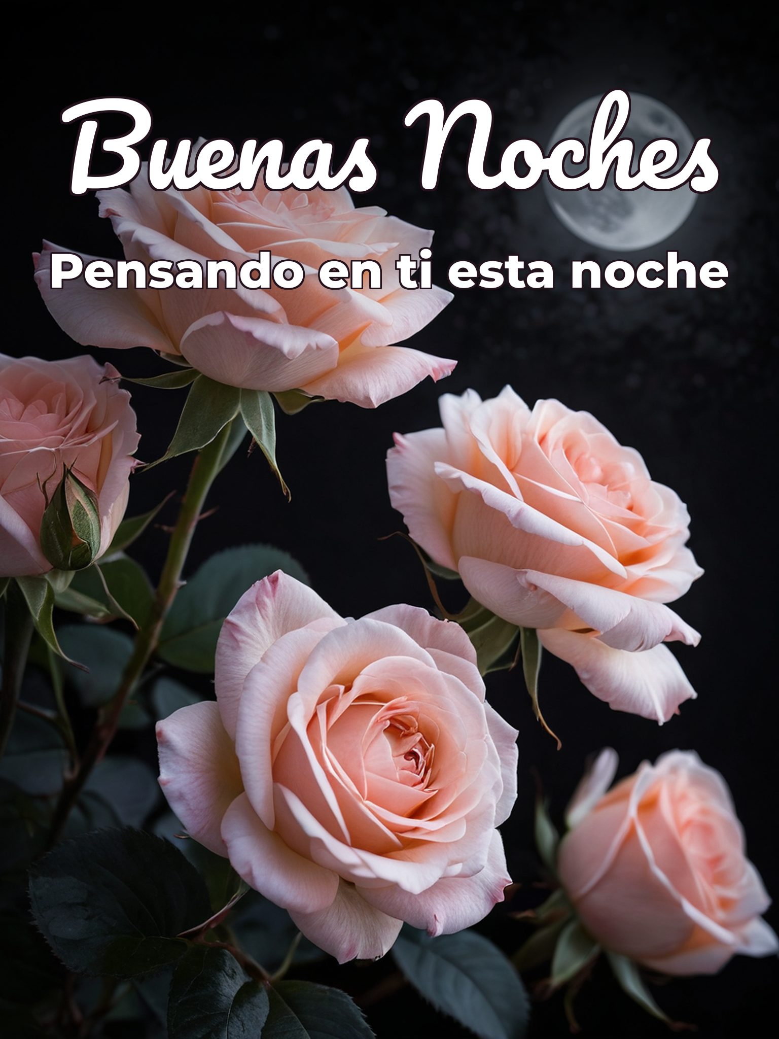 Imágenes de amor y de buenas noches para WhatsApp
